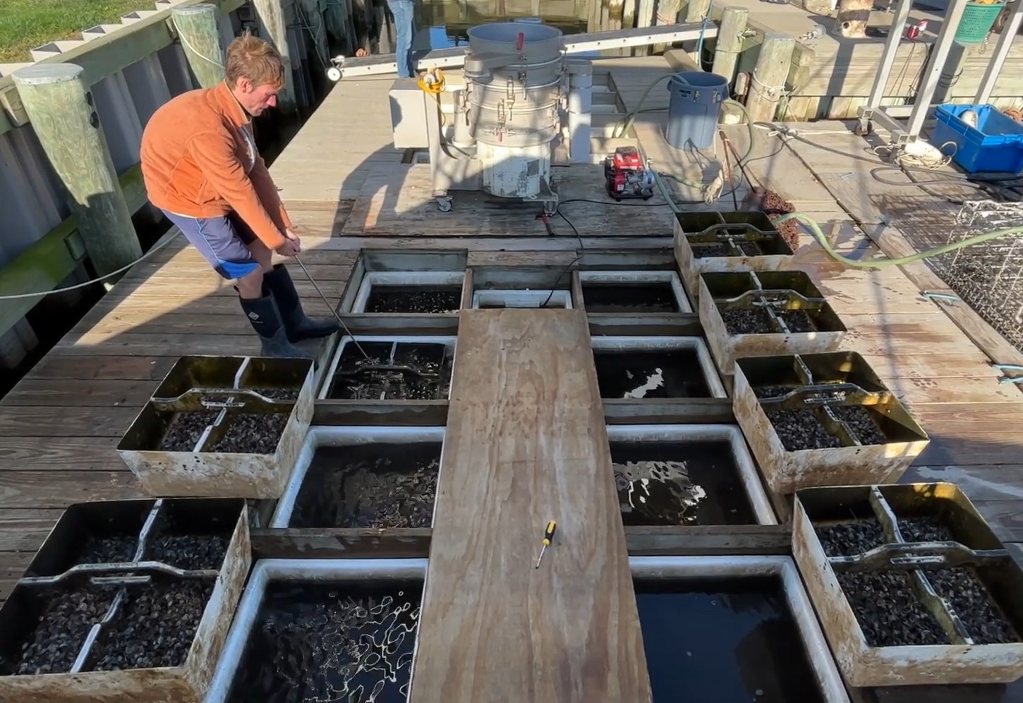 Video shows how FLUPSY helps the shellfish garden grow | Connecticut ...