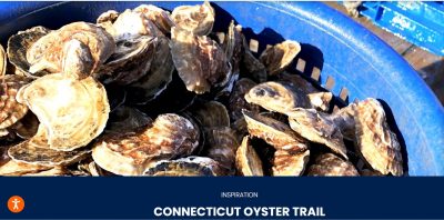 Image of oysters from Connecticut Tourism Office