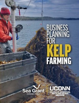 Cover of Business Planning for Kelp Farming guide