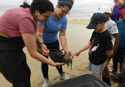 Staff of the CT NERR show a horseshoe crab to one of Flanders Elementary School first-graders before tagging it.