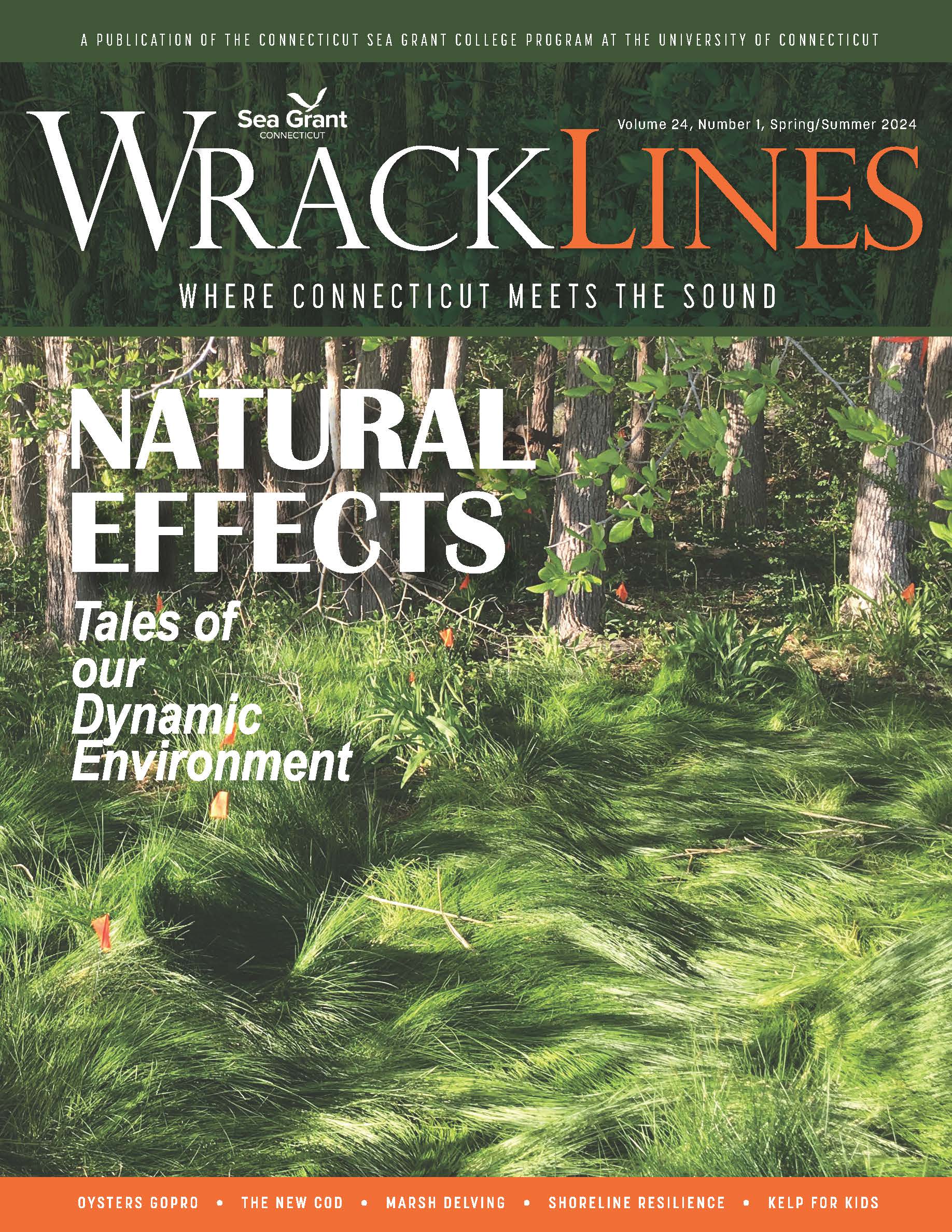 Cover of Spring-Summer 2024 issue of Wrack Lines magazine