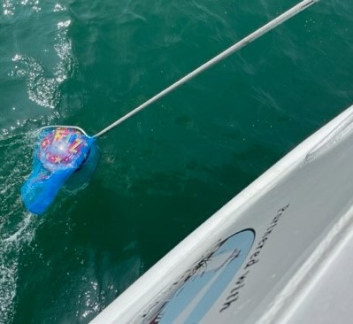 A balloon is fished out of the water by a wildlife tour boat crew member.