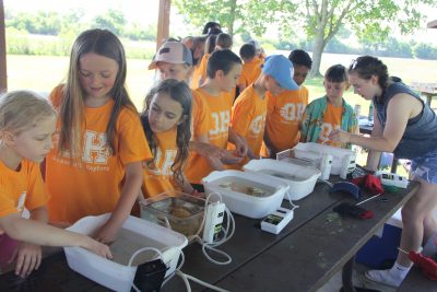 Elementary school students explore touch tanks at one of the 16 stations at Marine Science Day at Waterford Town Beach on June 3.