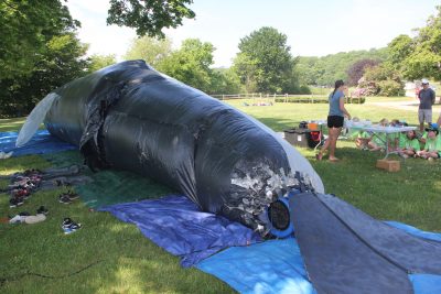 An inflatable life-sized model of a whale was used to teach whale anatomy at Marine Science Day at Waterford Town Beach.