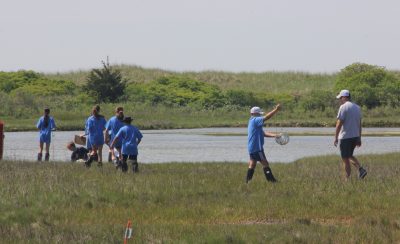 Students explore the salt marsh at Waterford Town Beach in Waterford, CT, during Marine Science Day on June 3.