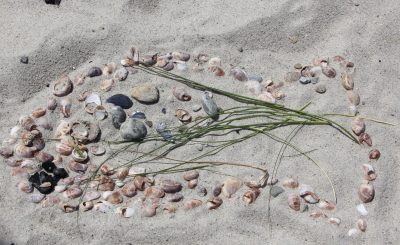 Students used eelgrass, shells and seaweed to create a fish during a sand art activity at Waterford Town Beach.