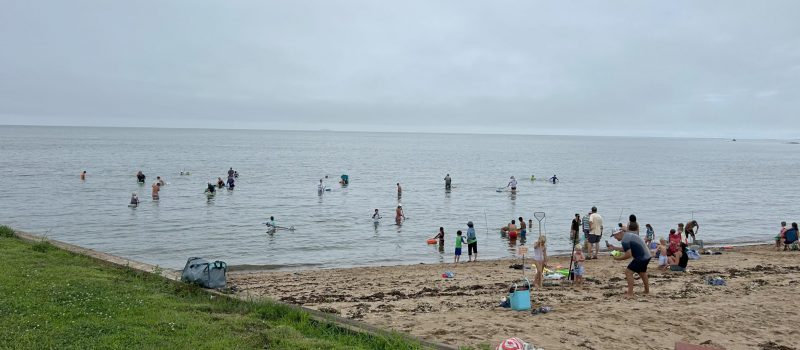 Lots of shellfish lovers stayed cool on July 13 while harvesting clams at Garvan Point beach at the annual Clam Dig sponsored by the Madison Shellfish Commission.