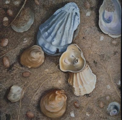"On the Walk" painting of shellfish by Edith Reynolds