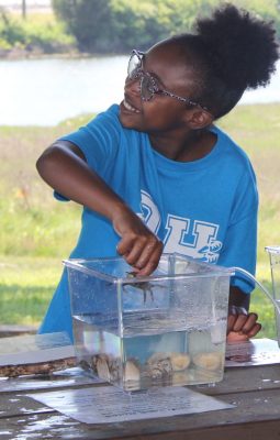 A Waterford elementary school student places a crab back into one of the touch tanks during Marine Science Day