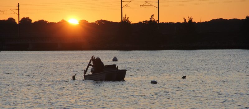 Researchers lower a probe into Beebe Cove in Groton at sunrise on Aug. 13 as part of a CTSG-funded project studying whether eelgrass and oysters can live symbiotically.