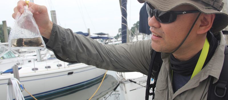 Henry Choong, one of 20 researchers who took part in a CTSG-funded Rapid Assessment Survey of invasive species in Long Island Sound Aug. 6-7, looks at two invasive hydroids he found in a Branford marina.