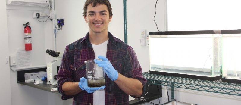 Clayton McGoldrick, CTSG lab technician, holds a beaker of kelp sorus tissue that is releasing spores in the mobile seaweed lab at the UConn Avery Point campus.