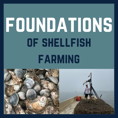 Shellfish class logo