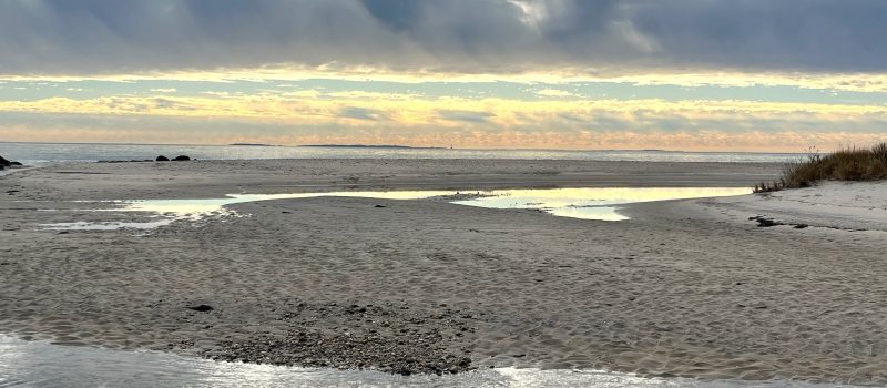 Goshen Cove in Waterford is an estuarine embayment, one of the priority coastal habitats CTSG works to manage and protect along with local, state and federal partners.