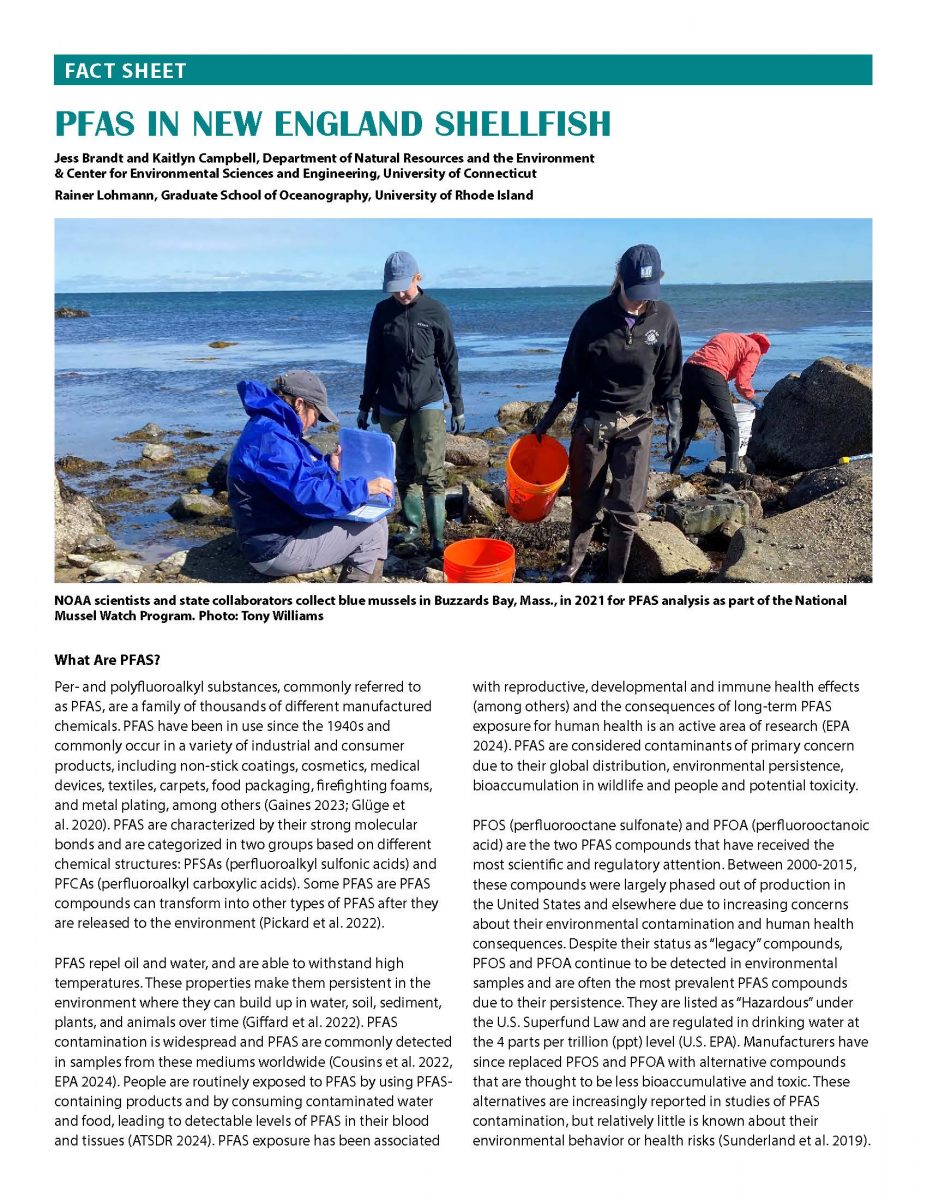 Page 1 of fact sheet about PFAS in New England shellfish