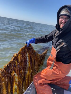 Zachary Gordon, CT Sea Grant aquaculture extension educator, holding a line of kelp