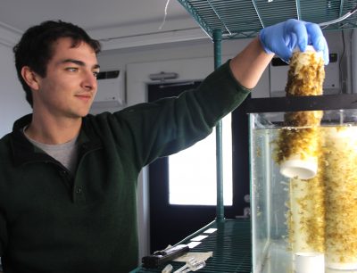 Clayton McGoldrick, mobile seaweed lab technician, examines a spool of seaweed growing in the lab.