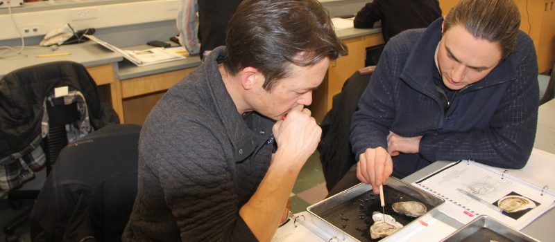 James Flynn, left, and Jake Dittes dissect an oyster in the CTSG "Foundations of Shellfish Farming" class.