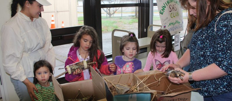 Visitors to the Earth Day festival at the Groton Public Library on April 26 make bug houses at the CT Sea Grant table. The event featured more than 50 displays.
