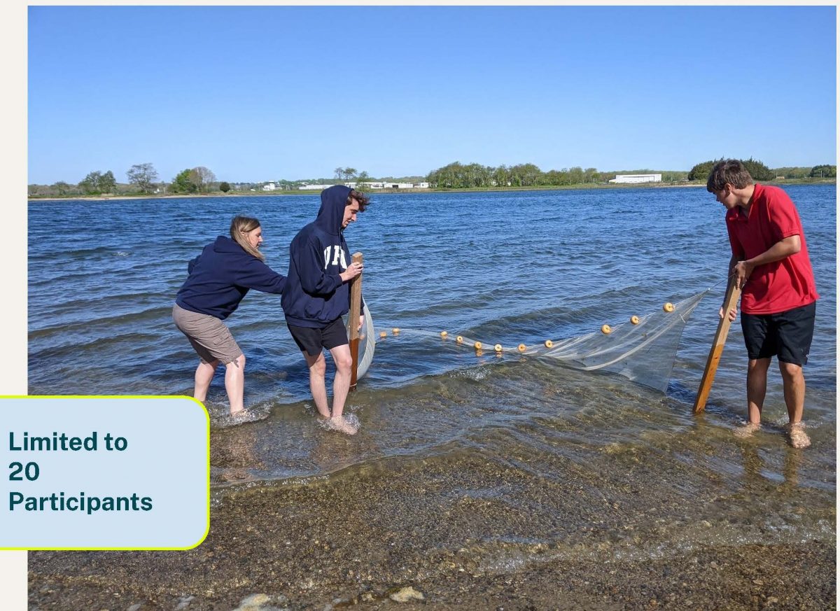 Teachers drag seine net onto the beach.