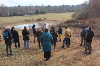 Municipal officials learn about a rain garden project in Hamden during a Sustainable and Resilient Communities workshop in December 2024.