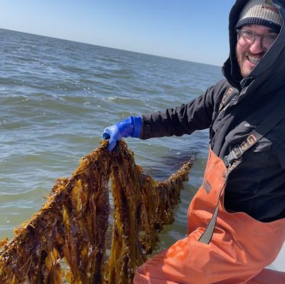 Assistant Extension Educator Zachary Gordon harvest kelp from Long Island Sound.