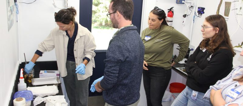 Hannah King of New England Science and Sailing, left, follows instructions from Zach Gordon, CTSG assistant extension educator, center, for preparing kelp sorus tissue to release spores as part of a demonstration for teachers in the CTSG mobile seaweed lab.