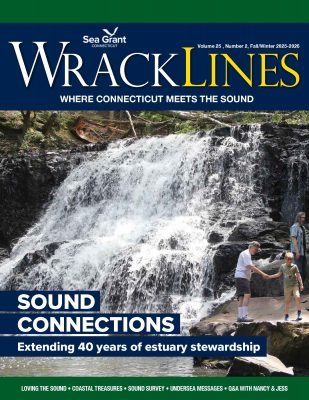 Cover of Fall-Winter 2025-2026 issue of Wrack Lines magazine