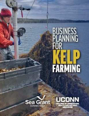 Cover of "Business Planning for Kelp Farming"