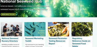 Screenshot from National Seaweed Hub website