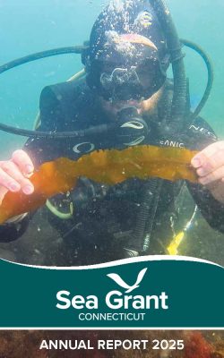 Cover of 2025 annual CT Sea Grant Annual Report with image of diver holding a blade of kelp