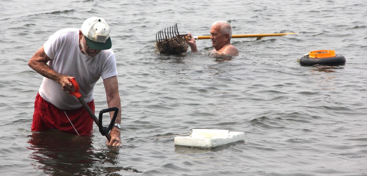 Recreational shellfishermen dig for clams in the recreational beds off Bluff Point State Park in Groton.