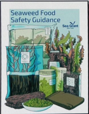 Cover of "Seaweed Food Safety Guidance"