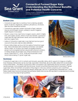 First page of "Connecticut Farmed Sugar Kelp: Understanding the Nutritional Benefits and Potential Health Concerns" fact sheet