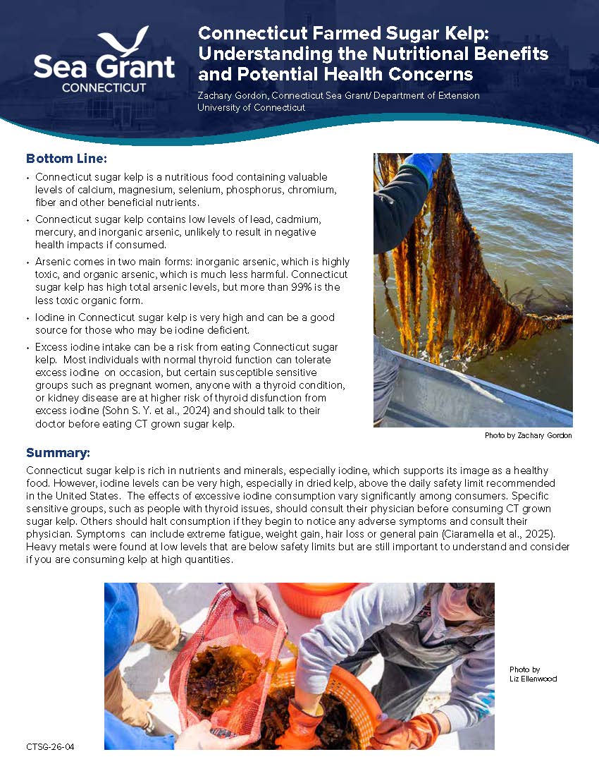 First page of "Connecticut Farmed Sugar Kelp: Understanding the Nutritional Benefits and Potential Health Concerns" fact sheet