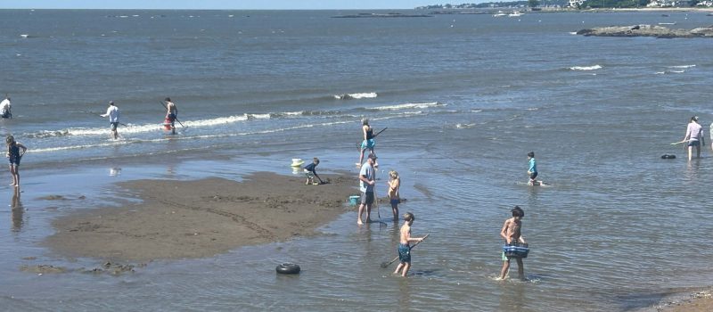 Madison's Annual Clam Dig June 20 at Garvan point brought out dozens of new and experienced shellfishers on a beautiful day!