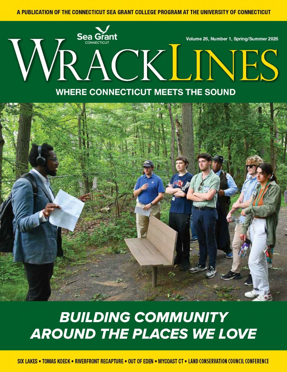 Cover of Wrack Lines magazine Spring-Summer 2026 issue