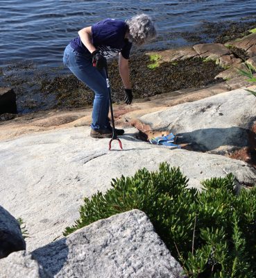 Volunteers removed a lot of trash trapped in the seawall at Fort Trumbull State Park during the cleanup.