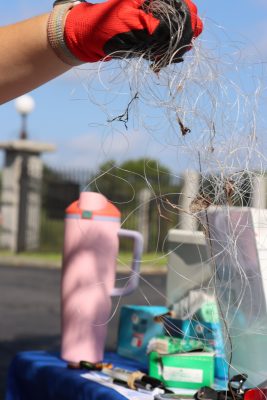 Several wads of fishing line was collected by the volunteers, preventing marine animals from entanglement.