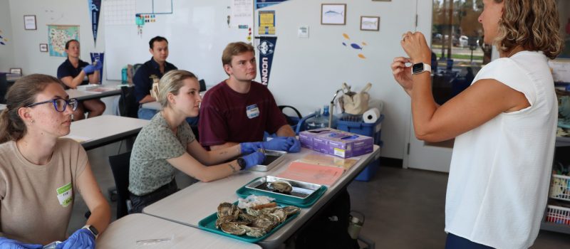 Connecticut Association of Agriculture Educators members learn how to dissect an oyster from Tessa Getchis of CTSG during a program at Vernon High School Aug. 11.