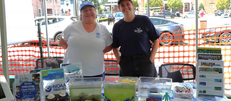 Genevieve Bernatchez of the NOAA Milford Lab, left, and Sarah Bodenstein of CTSG used a live oyster display at the Milford Oyster Festival Aug. 15 to show how these shellfish help keep Long Island Sound clean.