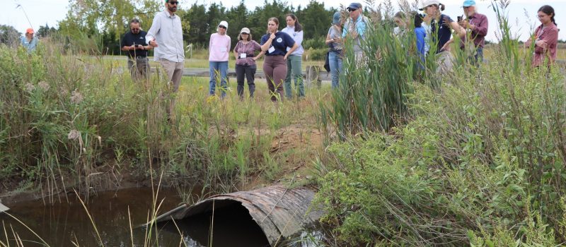 Jack Matthias, left, of Audubon CT, shows an undersized culvert at Hammonasset Beach State Park that will be replaced as part of a restoration project during a Sustainable & Resilient Communities workshop on Sept. 16.