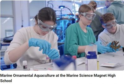 Screen shot from ornamental aquaculture video