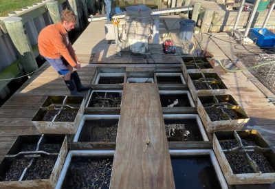 Jake Simonds of Stonington Shellfish Farm lowers one of the FLUPSY containers into place.