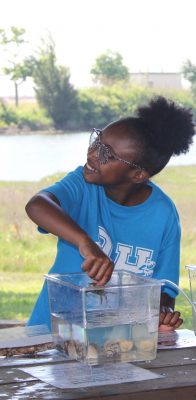 A Waterford elementary school student places a crab back into one of the touch tanks during Marine Science Day